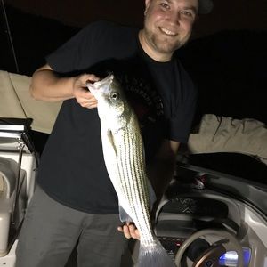 Meet your Posher, Johnathan